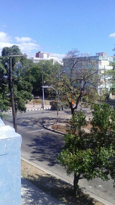 La ave. de los presidentes