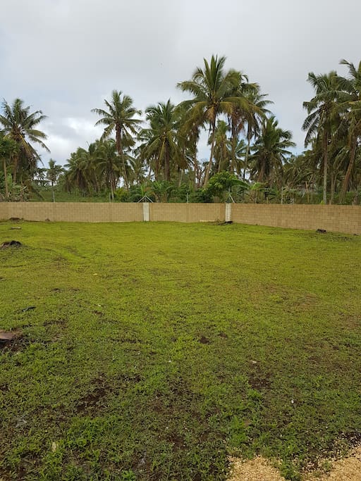 Backyard
