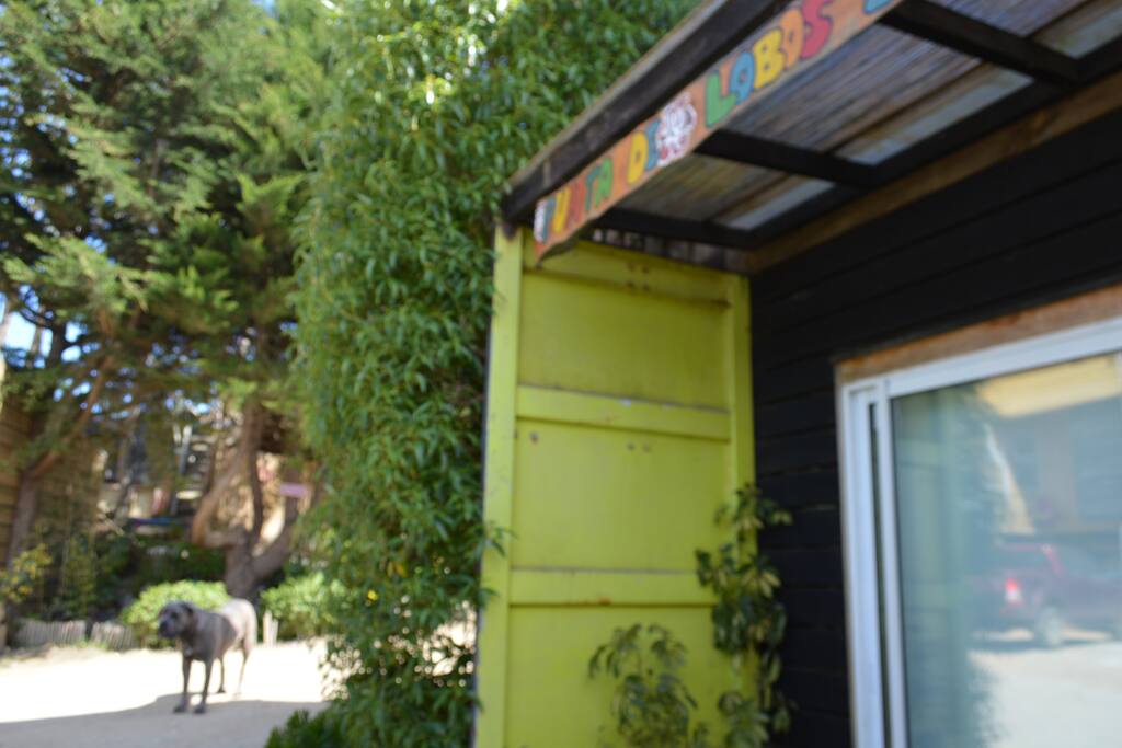 entrada habitacion