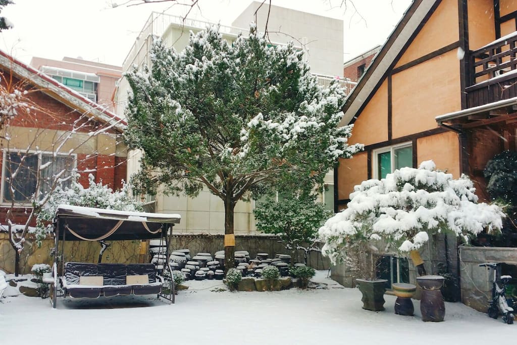 Winter