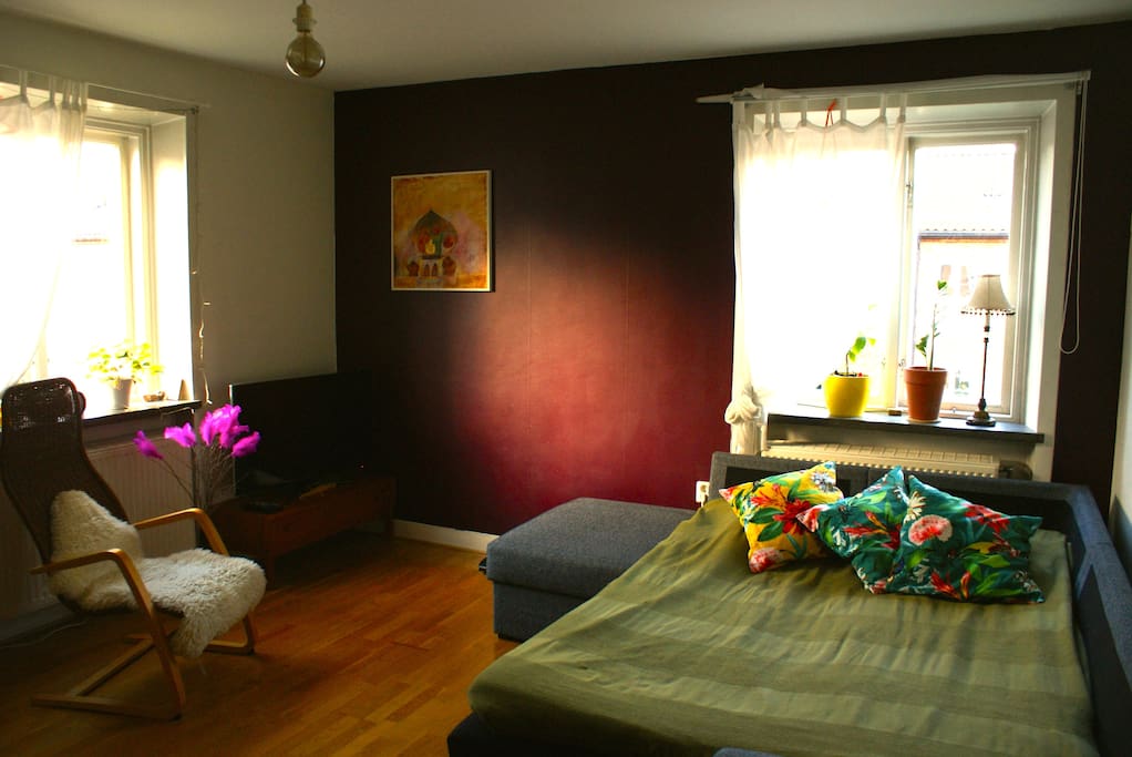Nice and spacious room with a comfortable sofa bed for two.