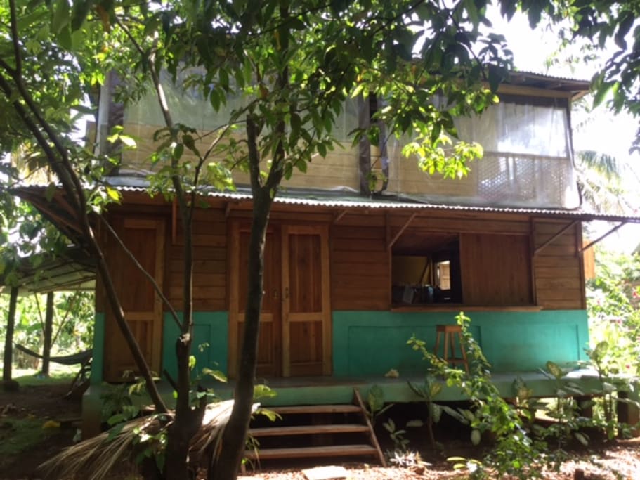 Front of the house