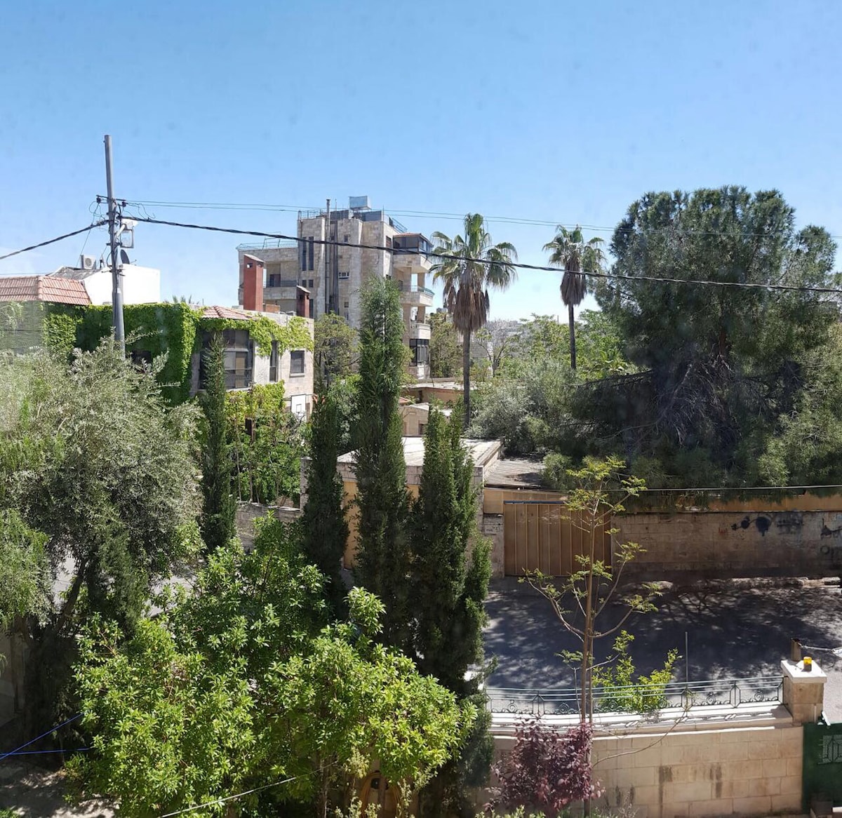 An outdoor view is presented, featuring lush green trees and palms that surround a spacious area. A variety of buildings is visible in the background, with clear blue skies overhead. Sunlight highlights the greenery, contributing to a peaceful urban landscape.