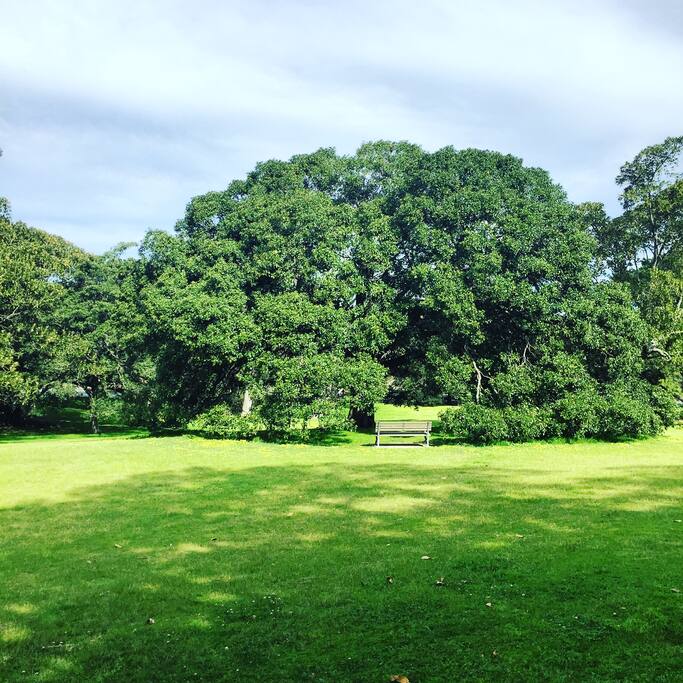 Centennial Park