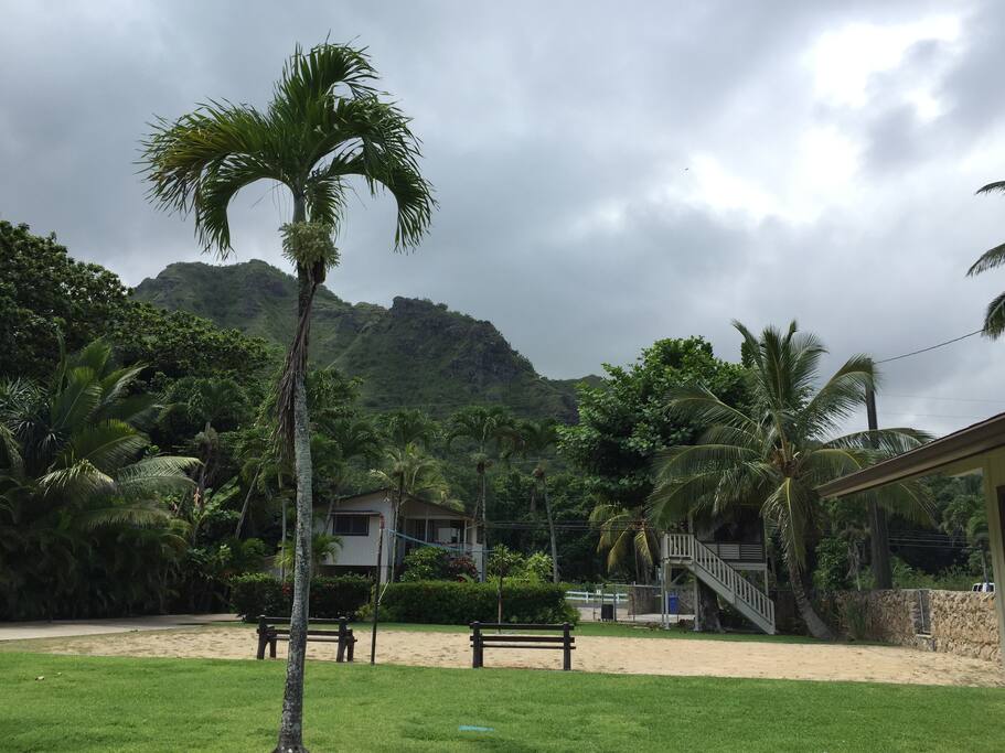View of apartment from beach