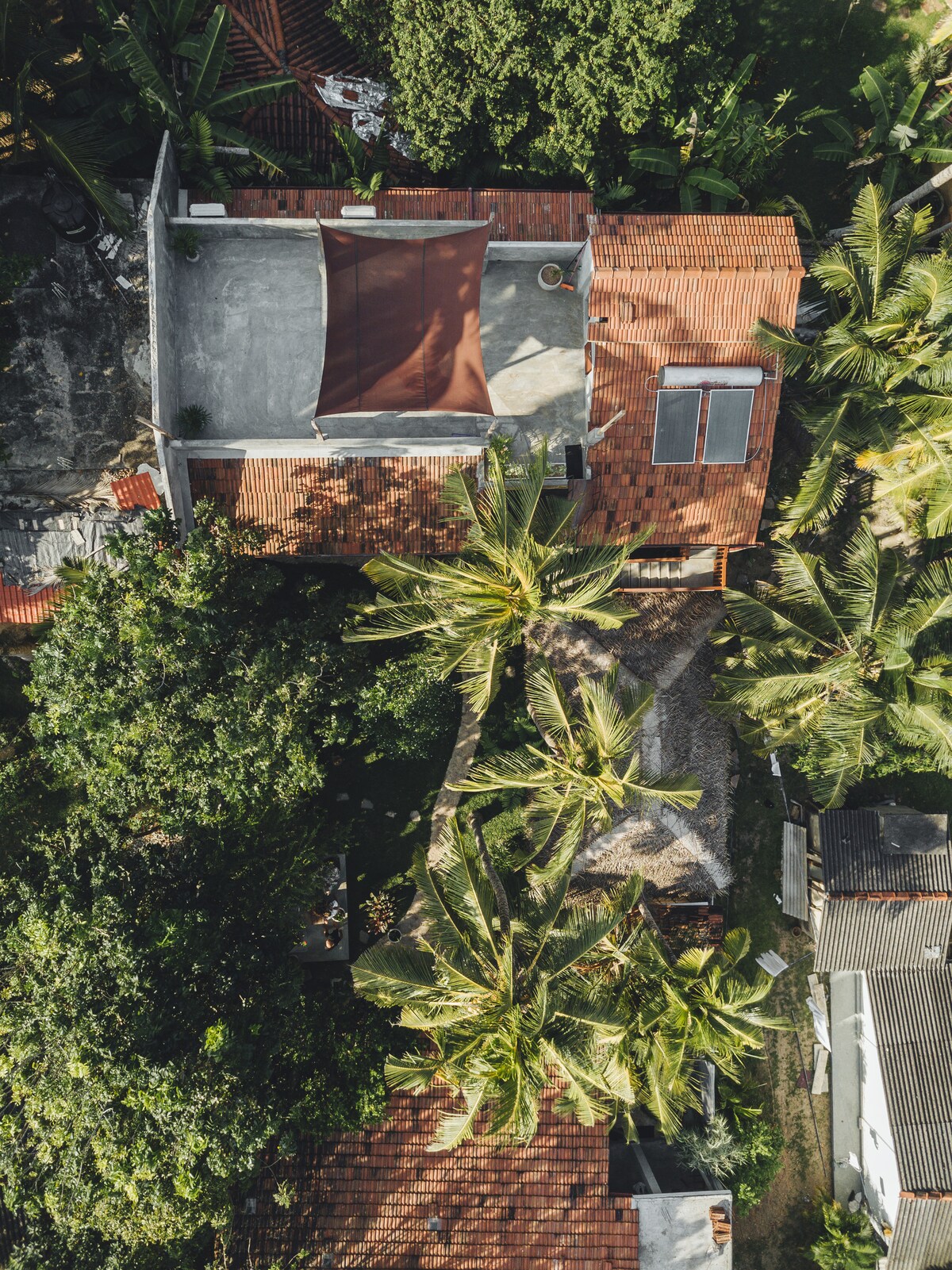 An aerial view captures the lush surroundings of the property, showcasing terracotta rooftops nestled among tall palm trees. The layout includes a rooftop shaded area and an outdoor space, blending seamlessly with the vibrant greenery and emphasizing the connection with nature.