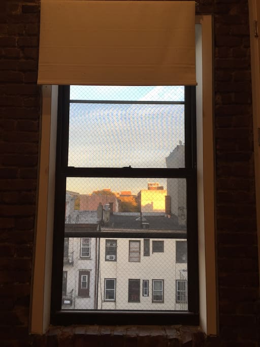 courtyard view from room