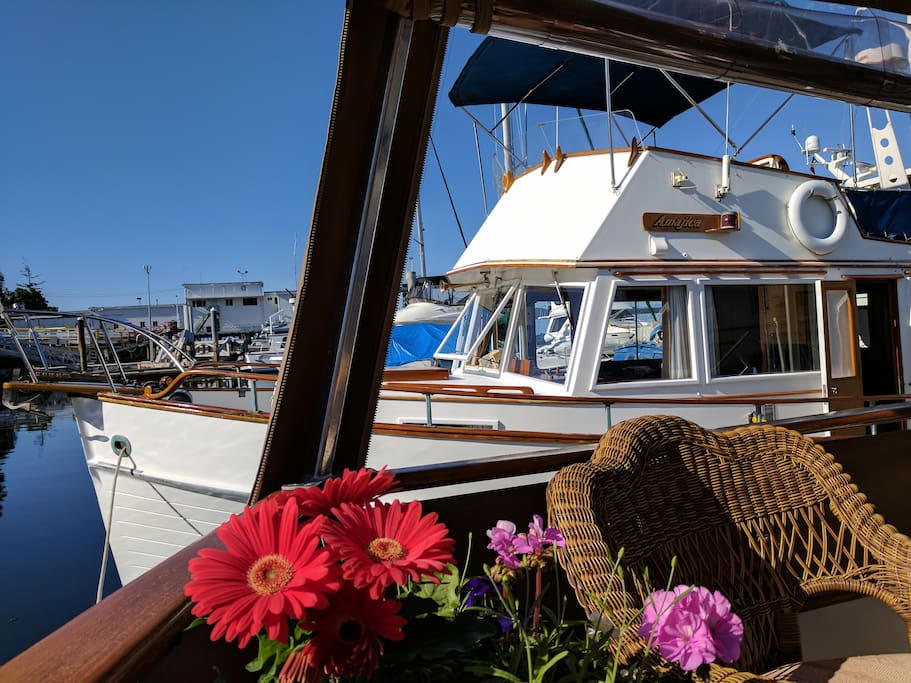Aft enclosed deck