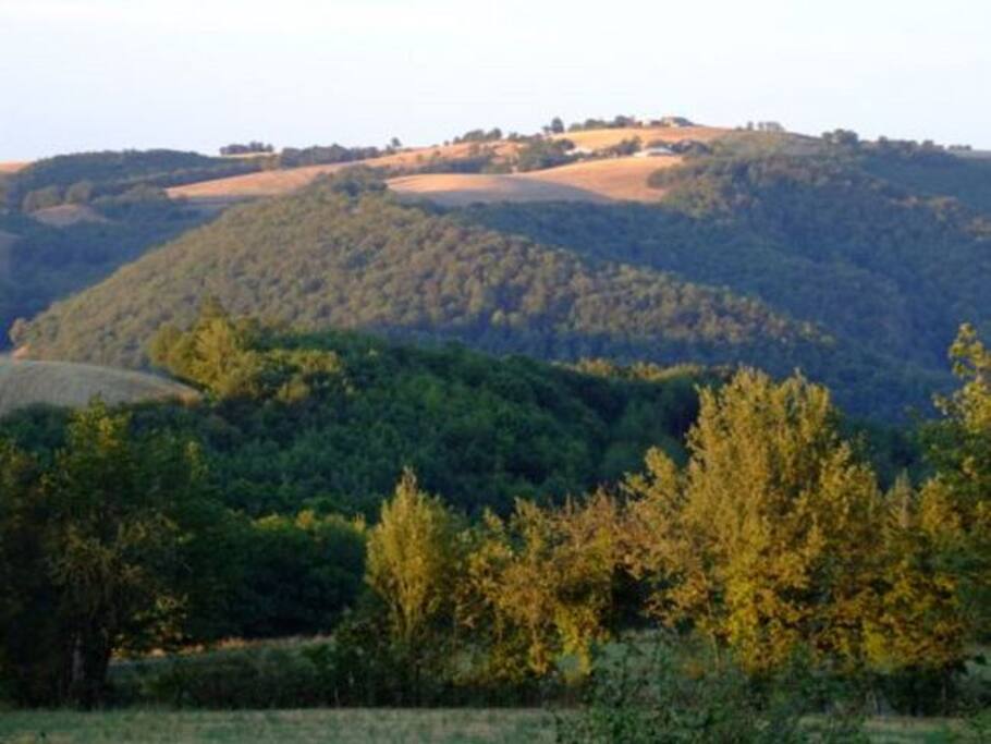 View from the property