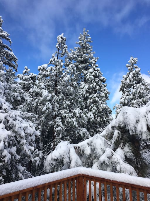 Back yard from the deck