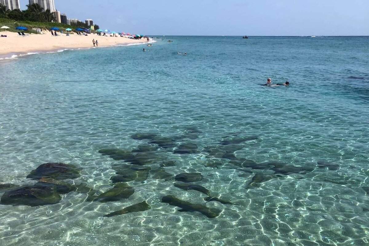 A clear ocean scene captures gentle waves lapping at the sandy shore, with visible rock formations submerged beneath the water's surface. Sunbathers and swimmers are situated along the beach, surrounded by colorful umbrellas and towels. The horizon meets a bright blue sky.
