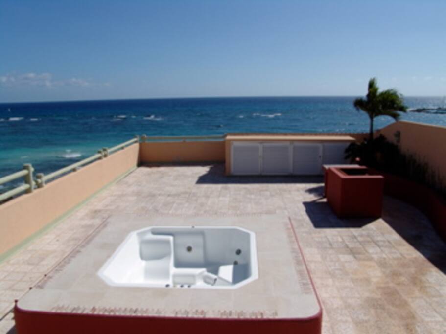 Roof garden con asador, jacuzi y piso térmico.