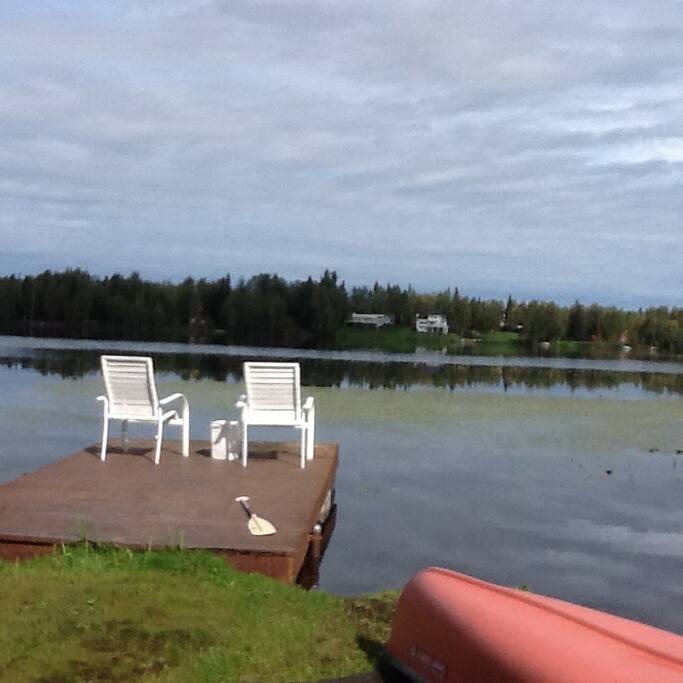 Enjoy watching the fish and birds