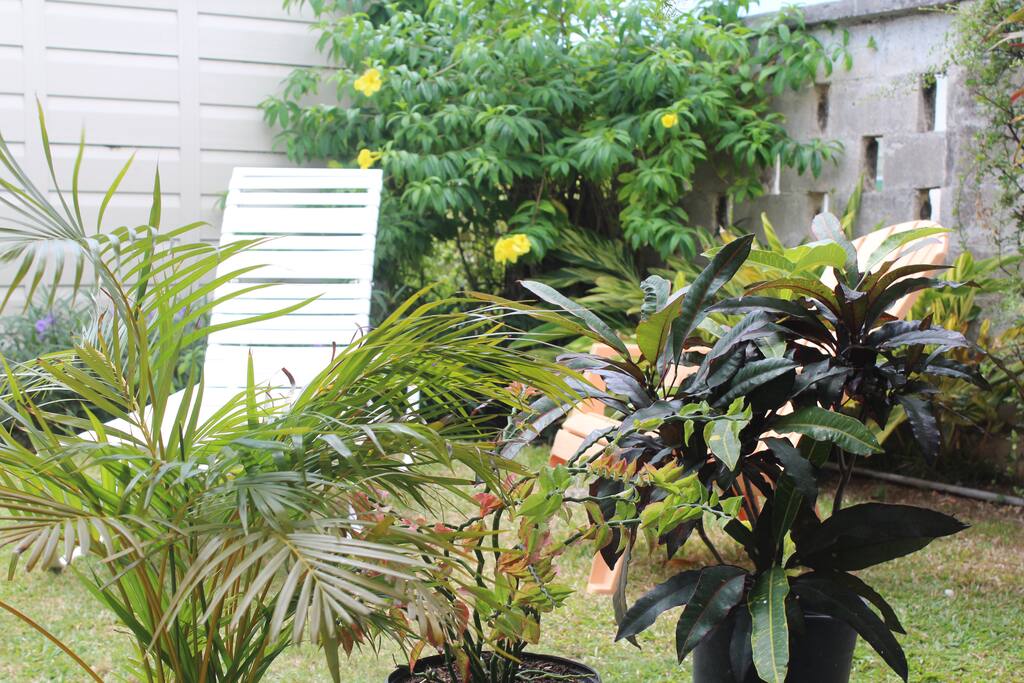 Garden sitting Area