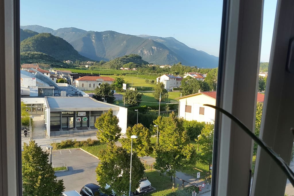 View from the Window
