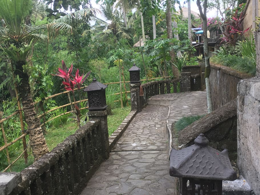 path way to the villa