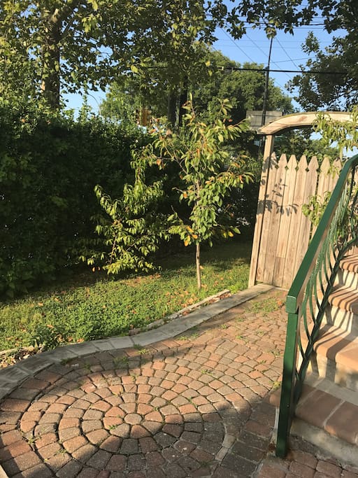 Side yard view