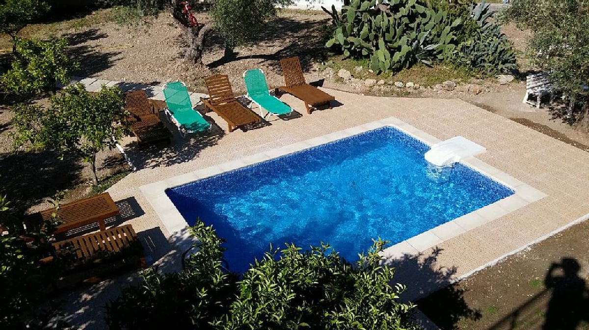 A private pool is featured in a spacious outdoor area, surrounded by lounge chairs in shades of green and brown. The pool is bordered by a stone terrace, with olive trees and tropical plants visible in the background.