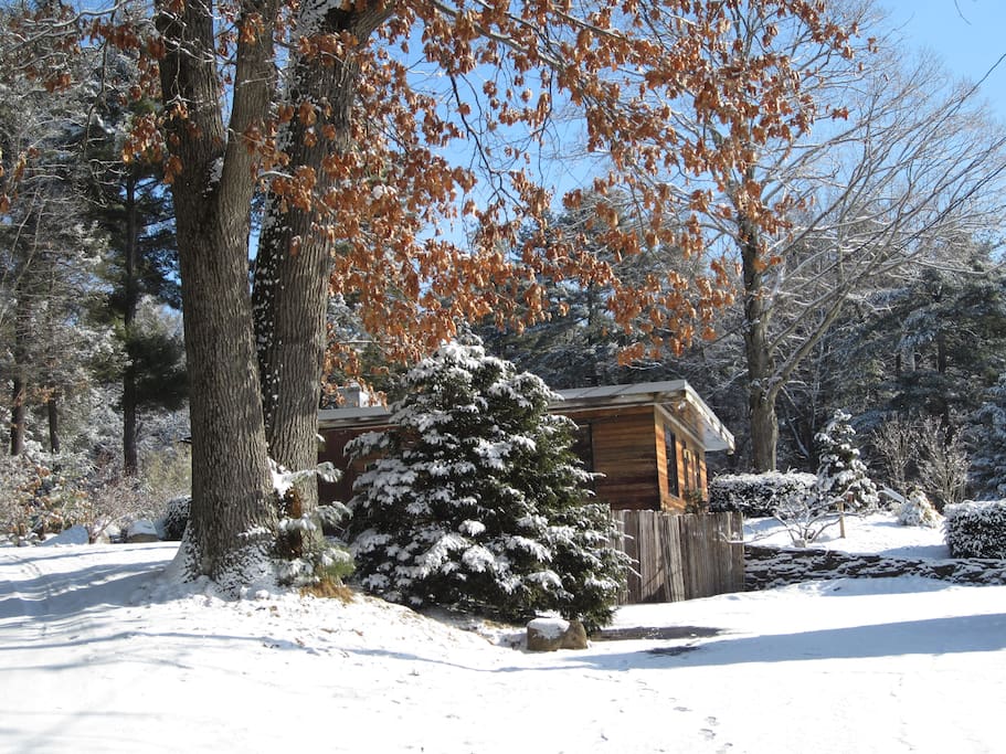 Winter Scene from Drive