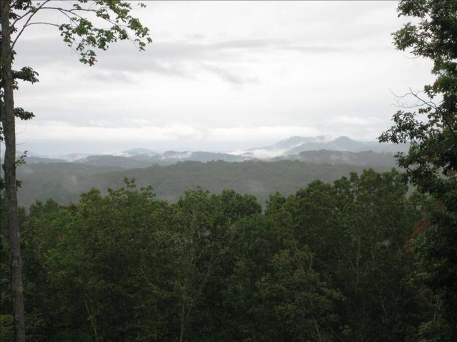 View from Back of the House
