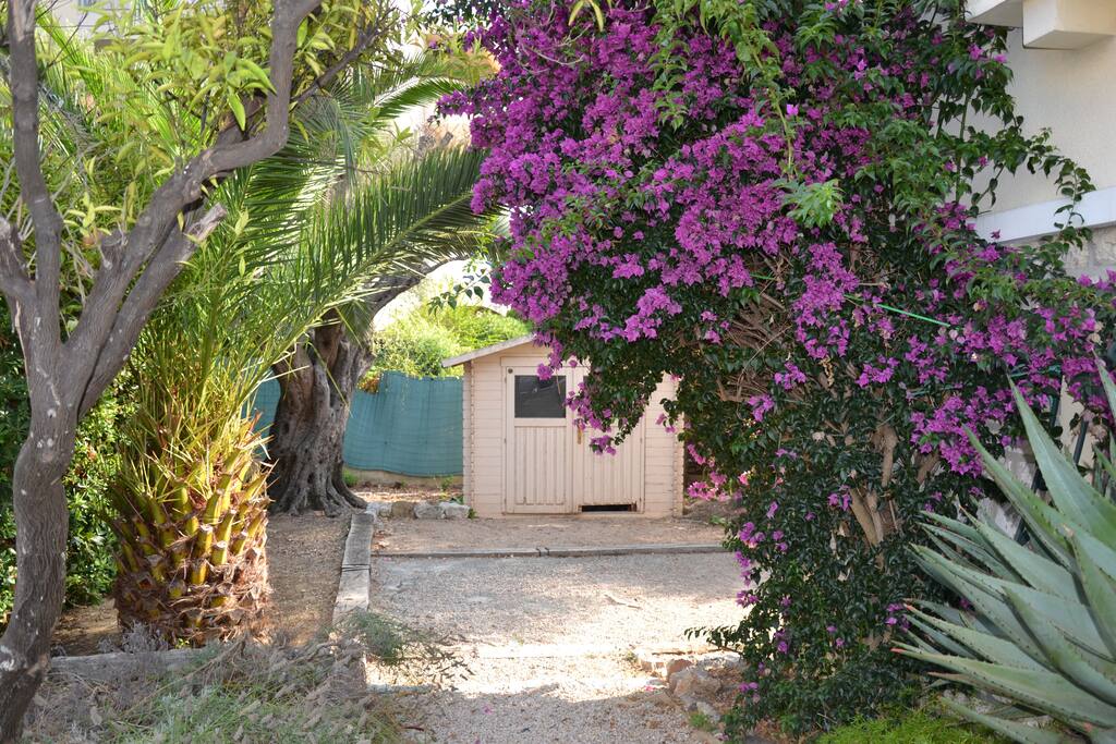 jardin paysagé