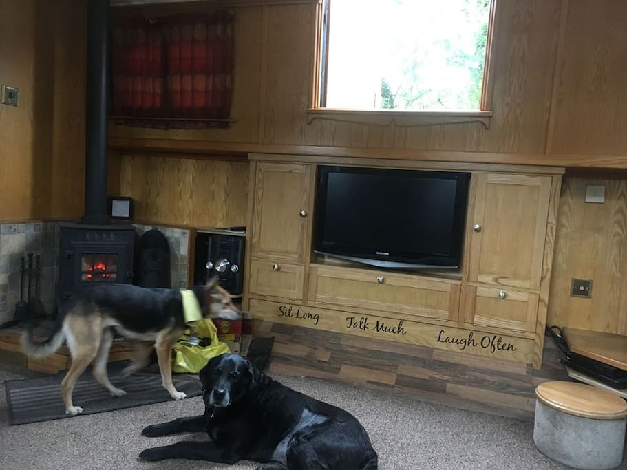 No TV license, but we can offer use of video games and DVDs