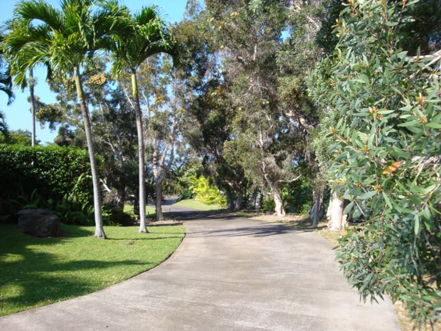Driveway up to house