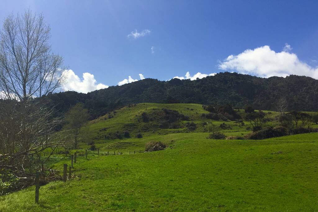 Gorgeous bush views to the rear