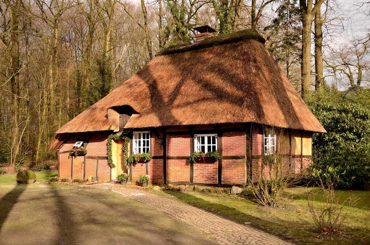 A charming thatched-roof cottage is surrounded by lush greenery and trees, providing a serene setting. The brick walls exhibit traditional craftsmanship, with flower boxes beneath the windows adding a touch of color. A cobblestone path leads to the entrance, inviting guests to explore.