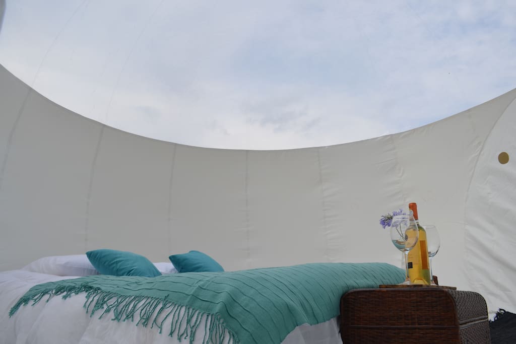 Interior carpa burbuja. Con cama matrimonial.