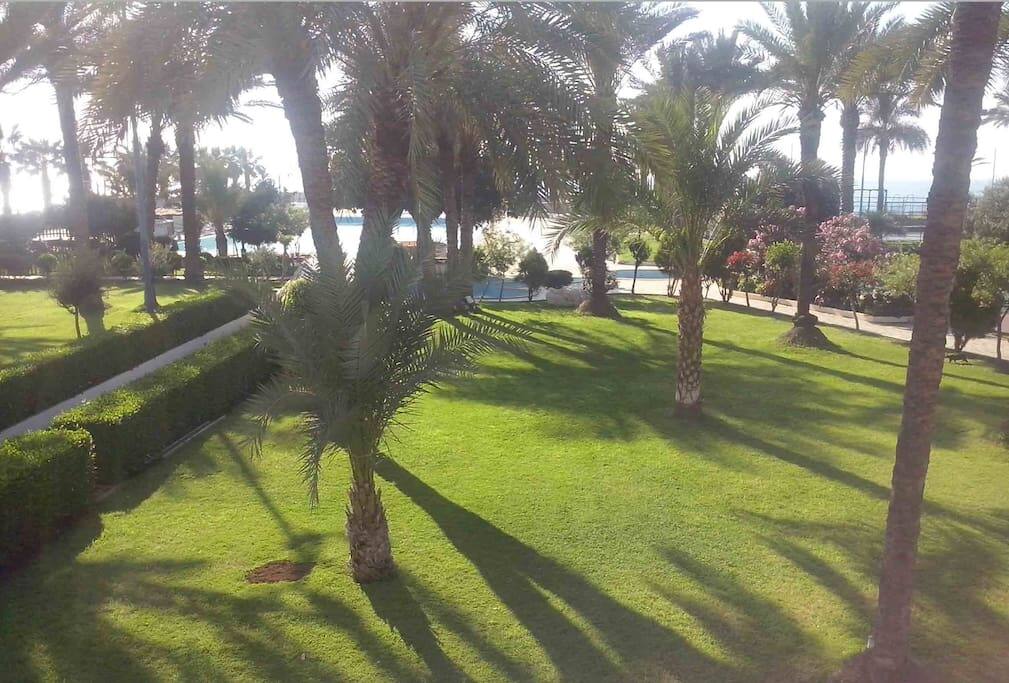 Gardens