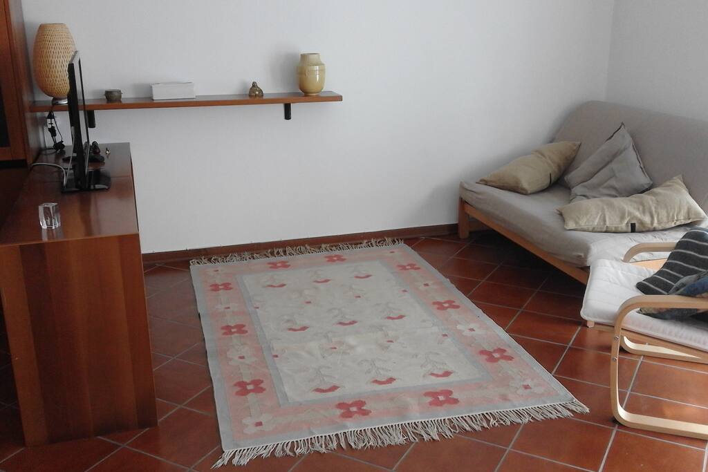 il soggiorno con angolo televisione e divano letto