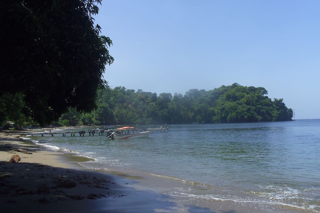Bahía Triganá, mezcla de selva y mar, con una agradable playa de arena y el muelle donde se llega en lancha.