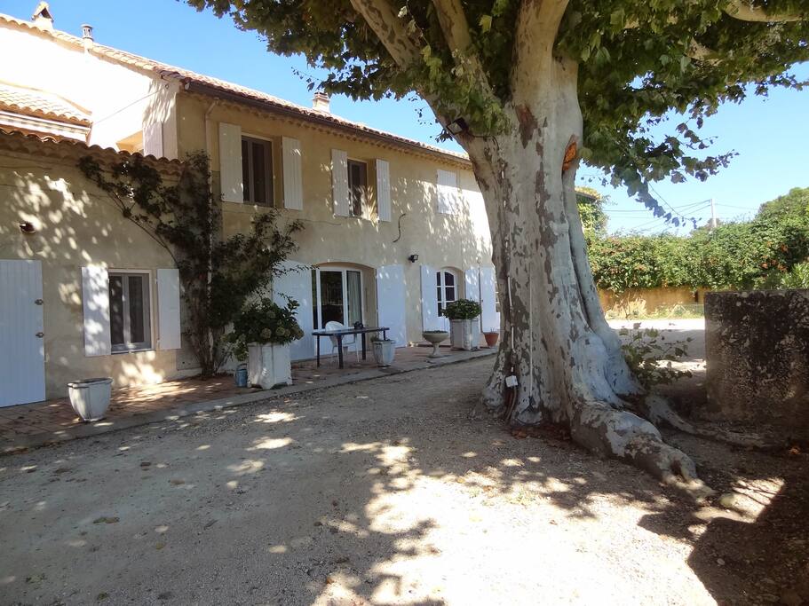Front of the house
