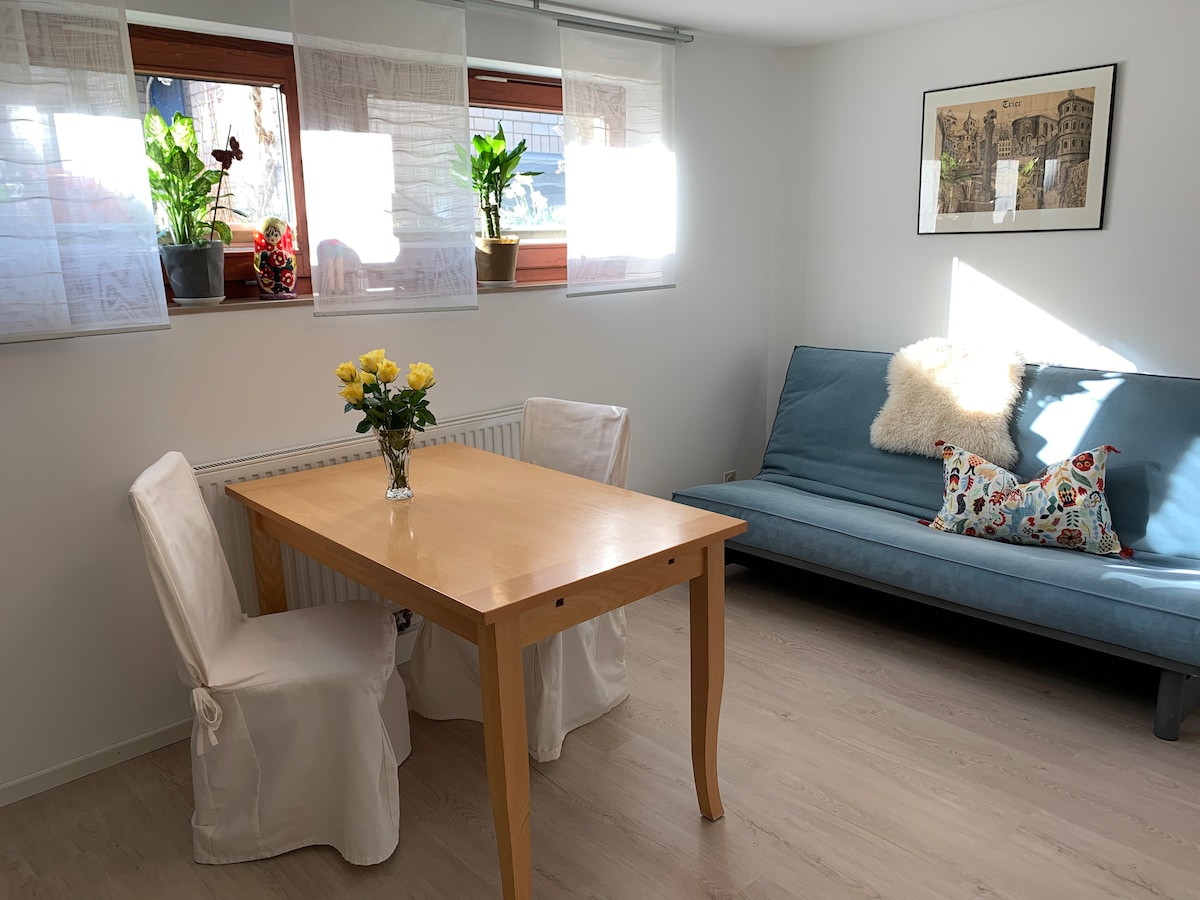 A bright living area is presented with a wooden dining table surrounded by two upholstered chairs. A blue futon is positioned against the wall, adorned with a colorful pillow. Natural light filters through the sheer curtains, illuminating potted plants on the windowsill.