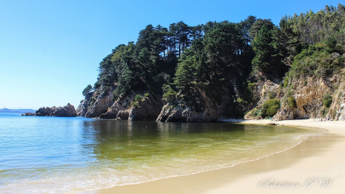 A serene beach scene is captured, featuring gentle waves lapping at a sandy shore. Lush trees line the rocky coastline, creating a natural backdrop against a clear blue sky. The calm water reflects the vibrant hues of the environment, evoking a peaceful atmosphere.