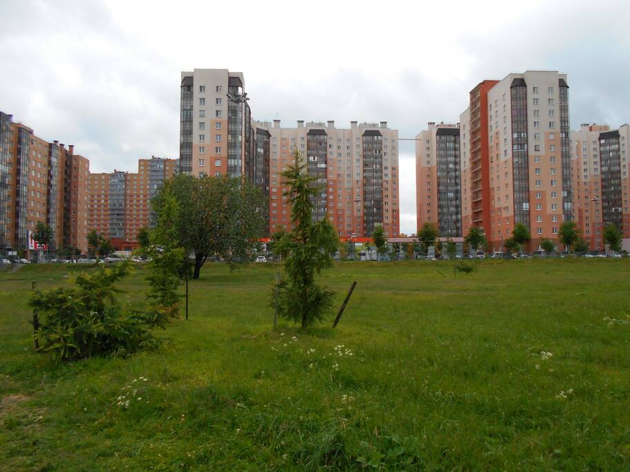 Вид с парка на жилой комплекс