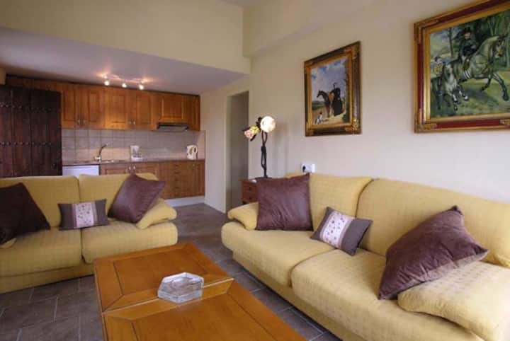 Посебна дневна соба во стан со  брачен кревет,кауч на спуштање и кујнски простор.