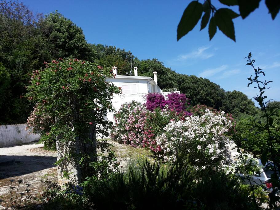 La villa è nel Parco del Gargano, immersa in un agrumeto a 900 dal mare