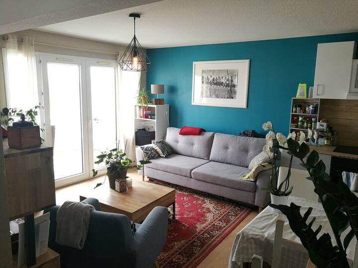 Appartement Cosy Proche Centre-ville - Toulouse