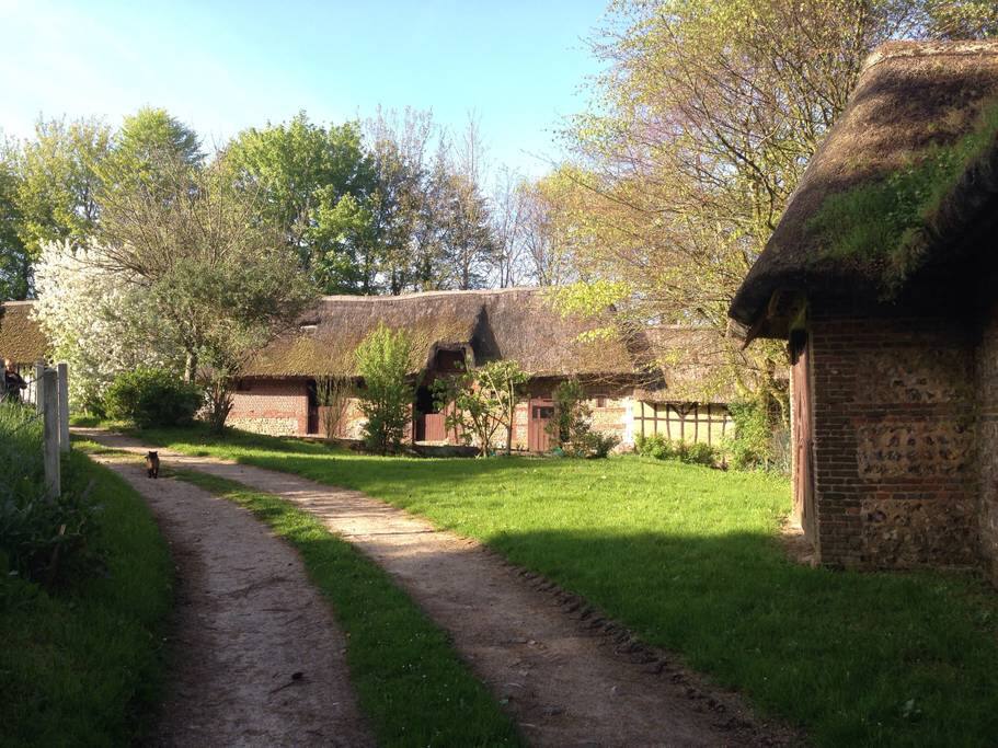 chemin d'accès