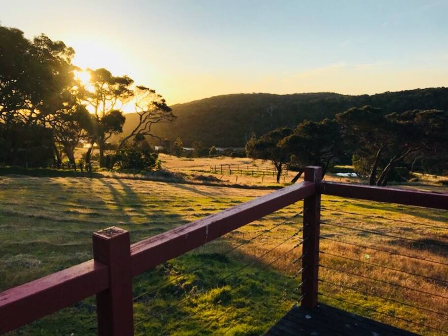 View from Deck