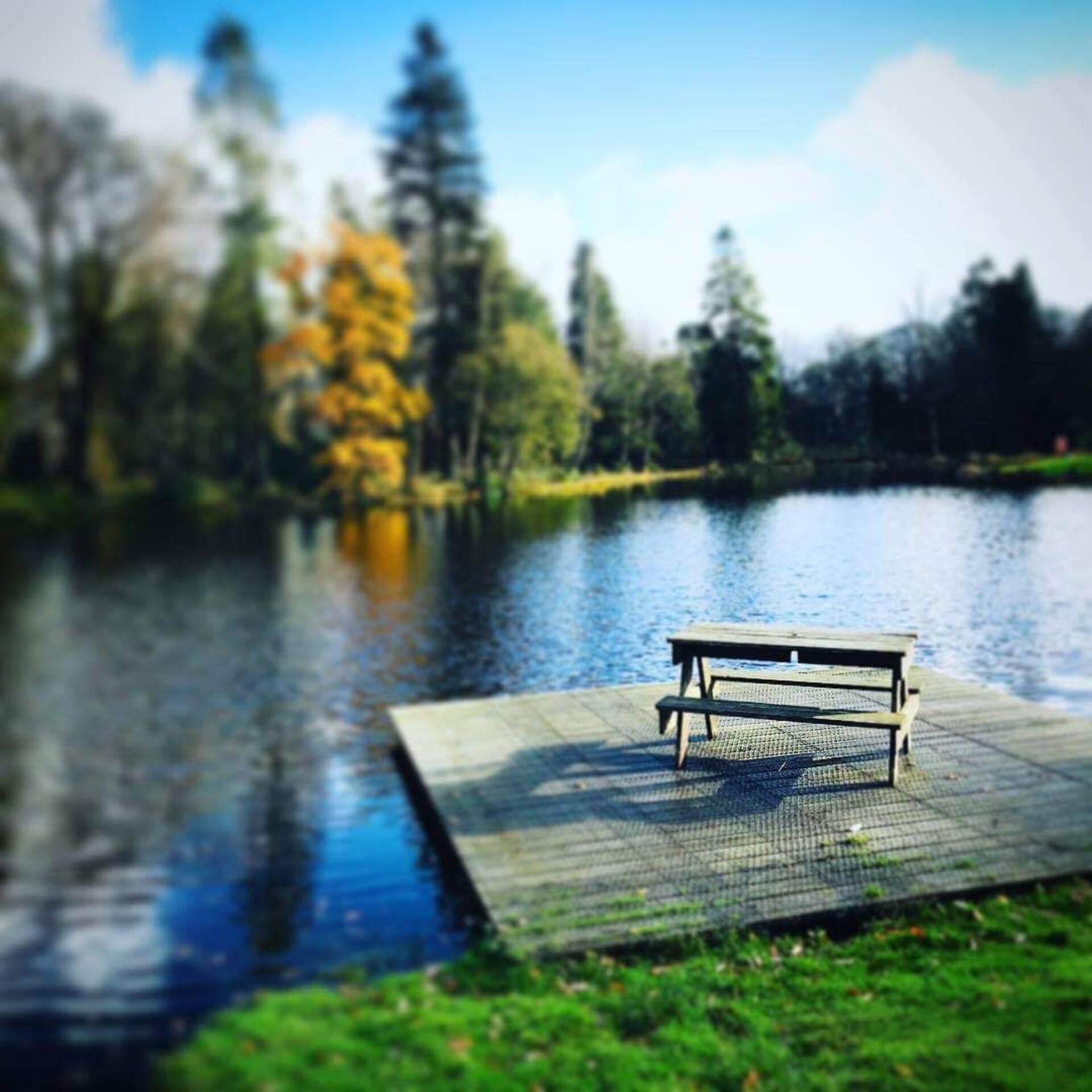 Cozy Log Cabin, 1A, Moffat Manor Country Park