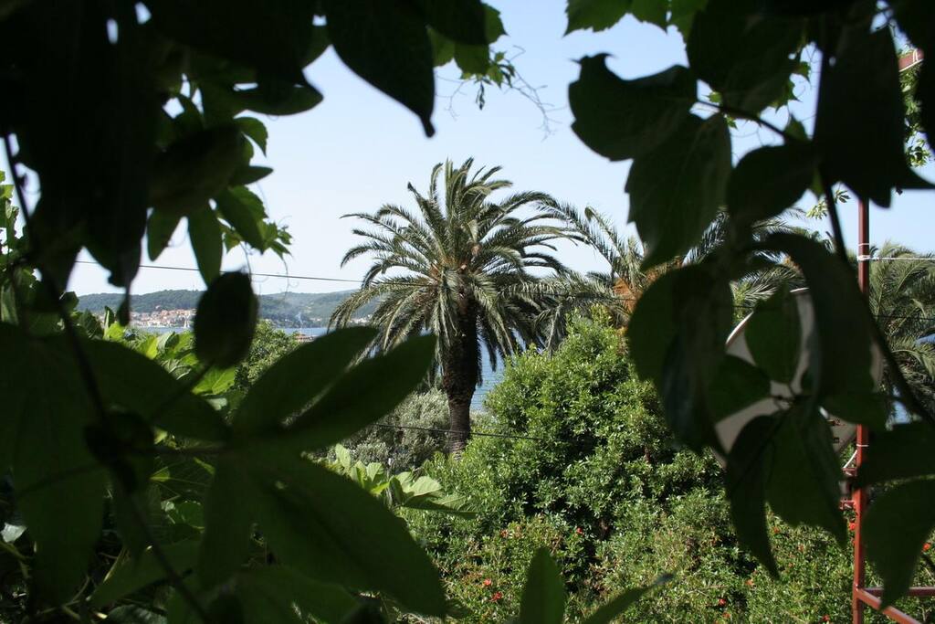 Terrace View