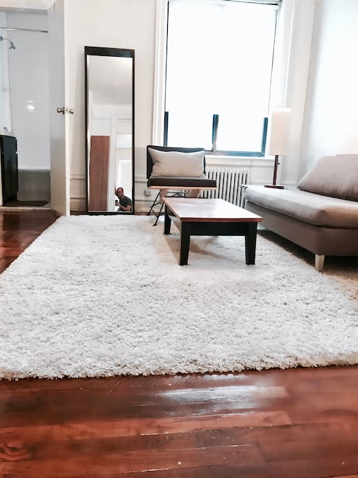 This pic shows a the custom window shade, and a couch from CB2.