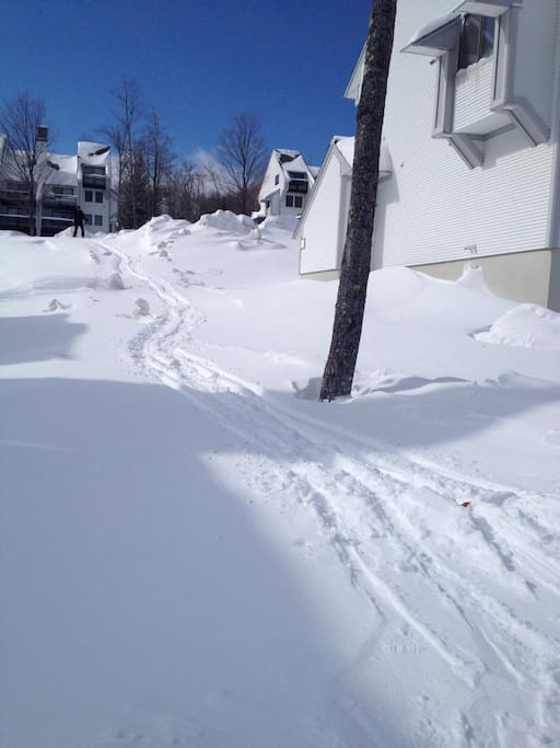 Ski on trail right along side our condo!