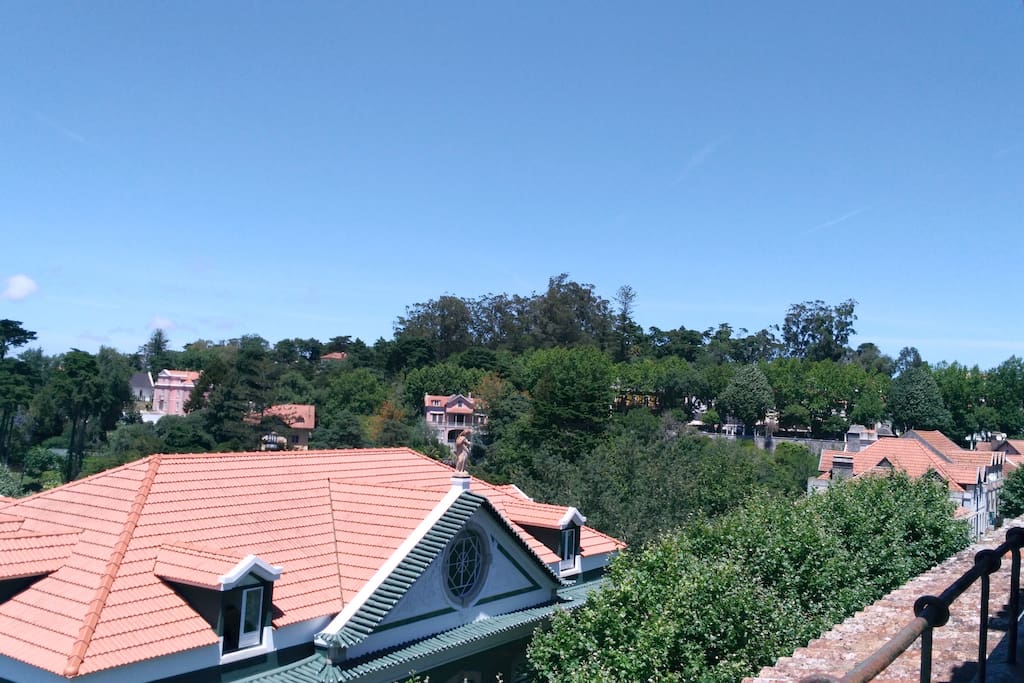 Neighboring view