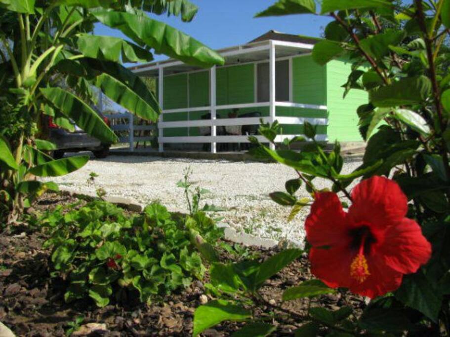 vista casa