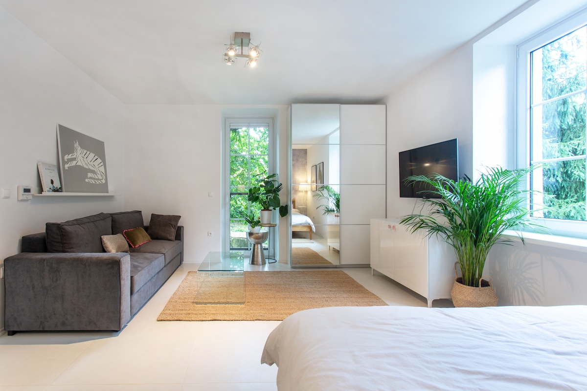 A spacious studio apartment features a comfortable gray sofa, a glass coffee table, and a large window providing natural light. A mirror reflects the garden view, while a television is mounted on the wall. A plant adds a touch of greenery to the decor.