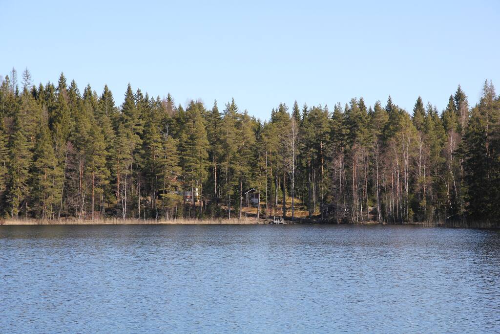 Näkymä järveltä mökille, cottage behind the trees